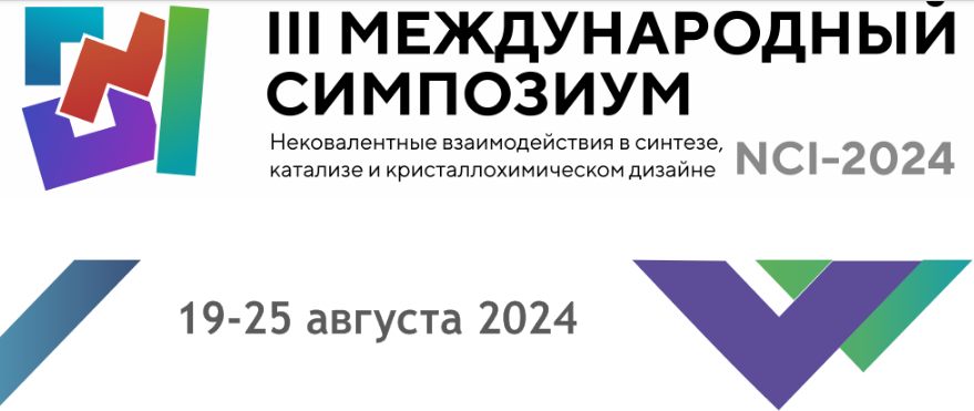 NCI 2024 logo