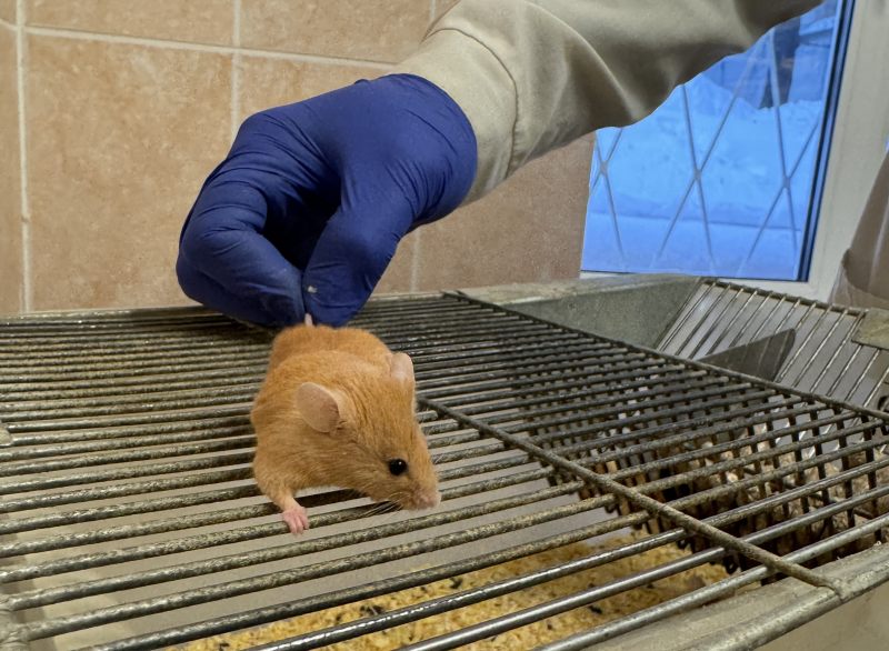 2026 01 14 Khvostov 02