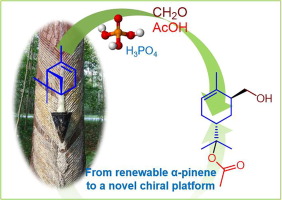 2024 journal of Catal