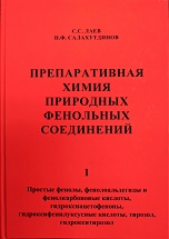 2023 SalakhutdinocNF book 1