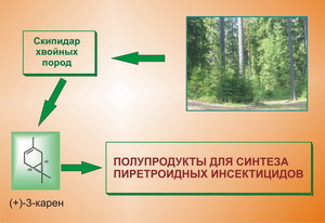 polyprod_1